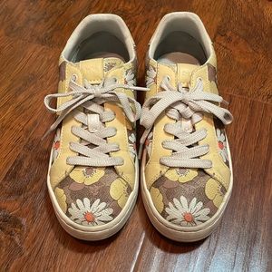 Coach signature floral low tops